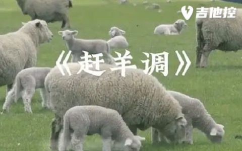 为你写下这首情歌吉他谱,歌曲,简单指弹教学简谱,2张六线谱图片