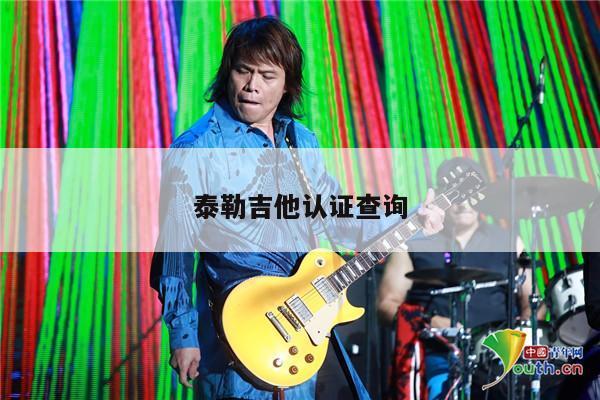 泰勒吉他认证查询