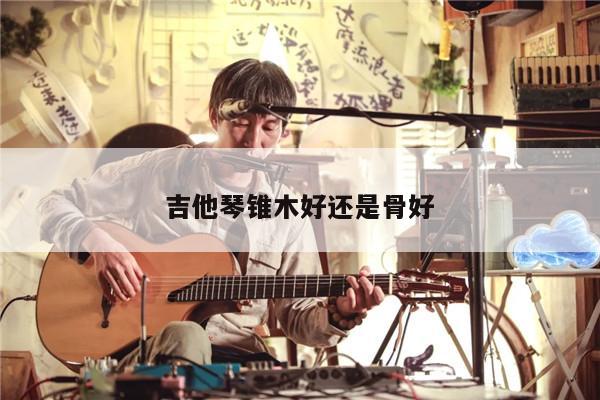 吉他琴锥木好还是骨好
