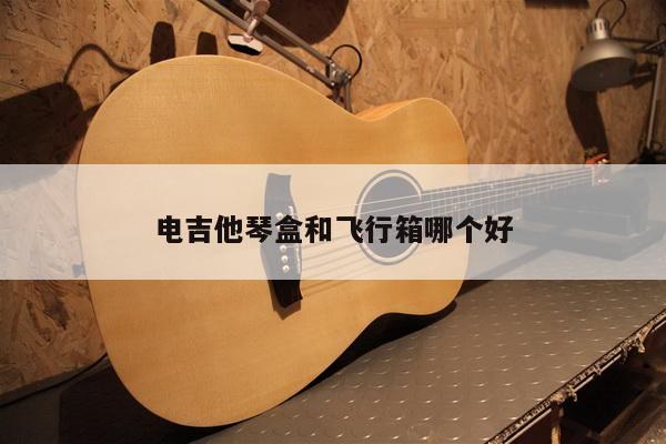 电吉他琴盒和飞行箱哪个好