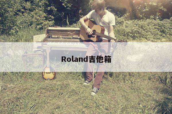 Roland吉他箱